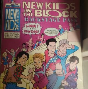 New Kids On The Block Comic Book